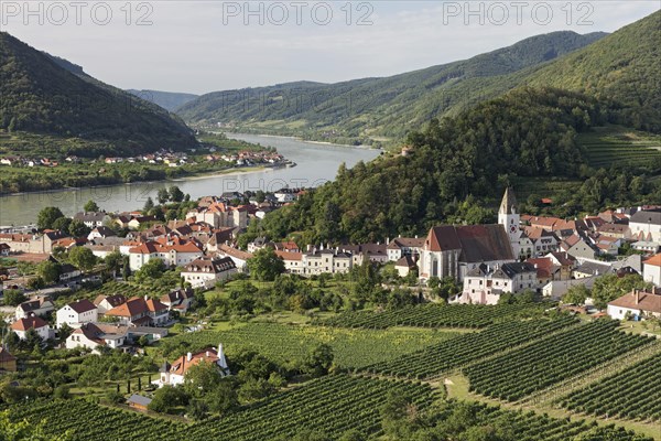 View over vineyards to Spitz an der Donau