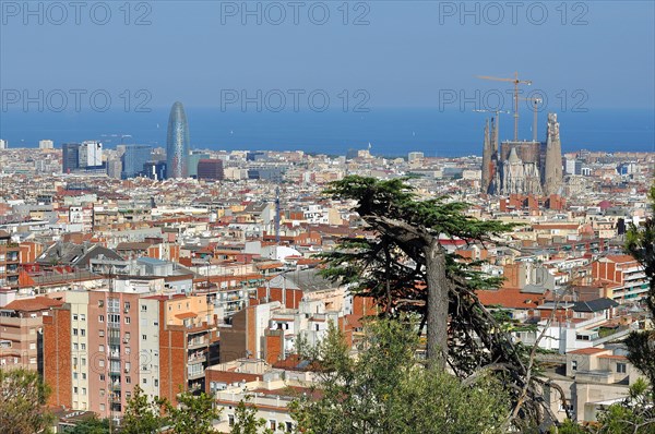 View from the Parc Guell towards the city with Sagrada Familia and Torre Agbar