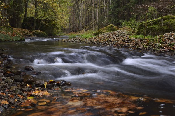 Course of the Polenz river through the Polenz valley