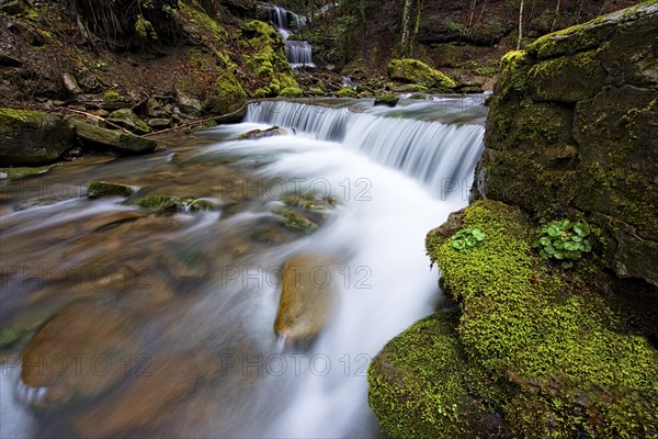 Waterfall in the forest