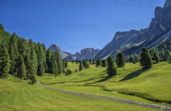 Odle mountain range in summer with Mt Stevia and the peaks of La Piza and Jela