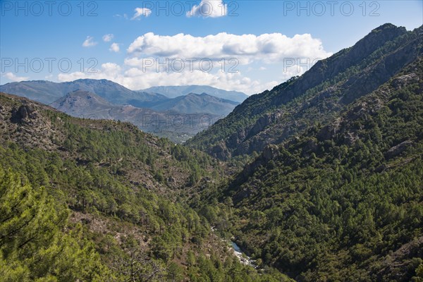 Tavignano river valley
