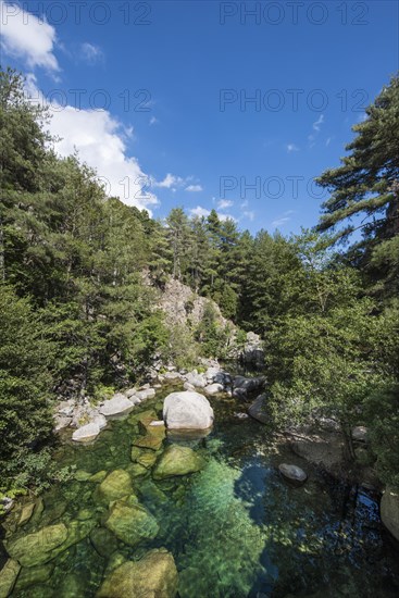 River Tavignano