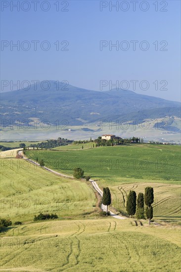 Tuscan landscape with cypress trees