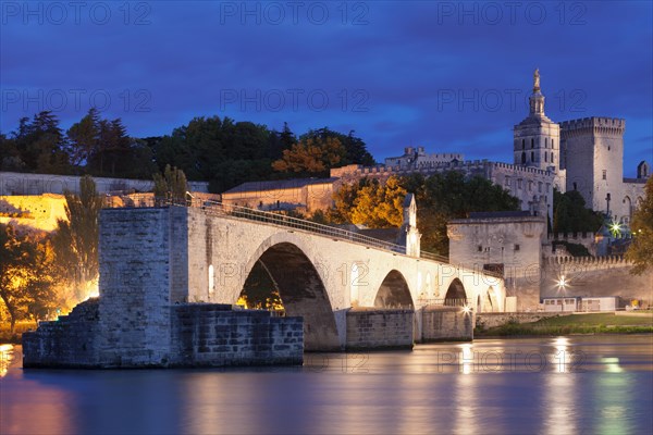 Bridge St. Benezet over the Rhone with Notre Dame des Doms and the Popes' Palace, Avignon