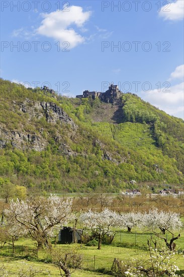 Aggstein castle ruins