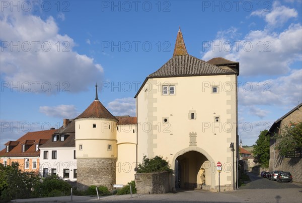Faltertor gate