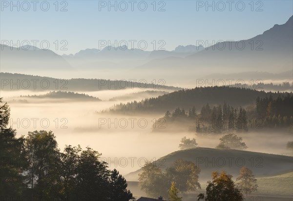 Morning fog