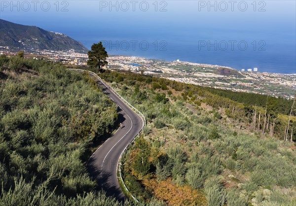 Mountain road Carretera del Teide