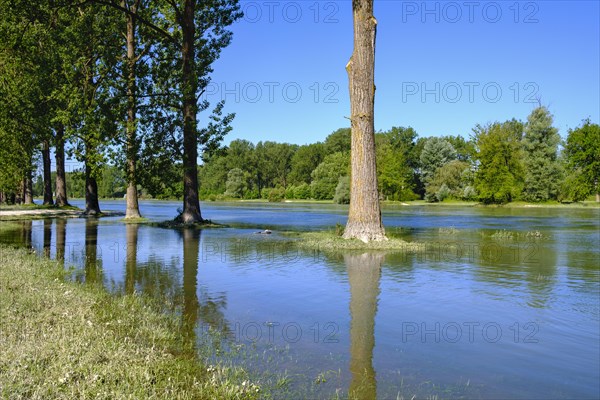 Isar at high tide