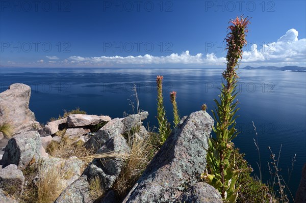 Lake Titicaca