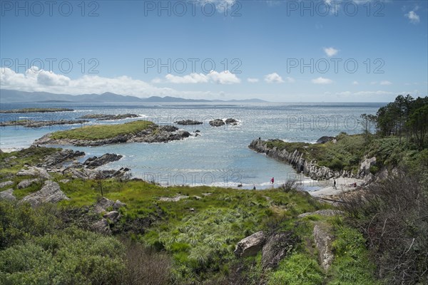 White Bay beach