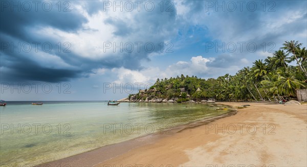 Sandy beach beach with palm trees