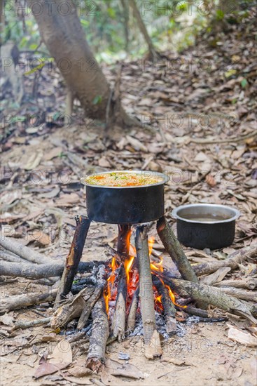 Pot of food on a campfire in the jungle