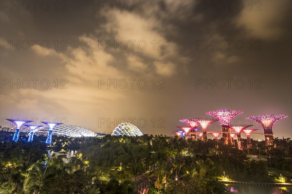 Illuminated SuperTrees at night