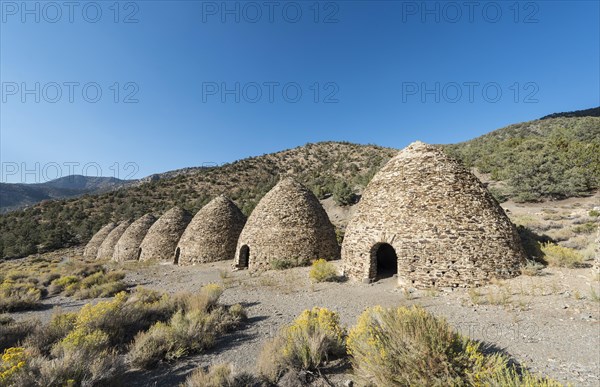 Brick ovens