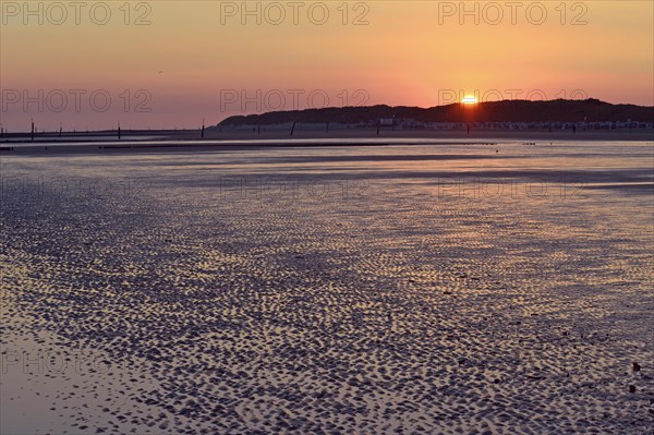 Wave patterns in the sand
