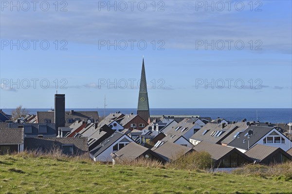 Roofs with church tower of St. Nicolai