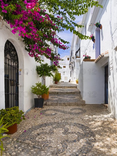 White houses in narrow alleyway