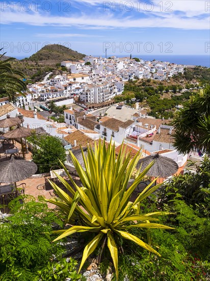 View of white houses in Frigiliana