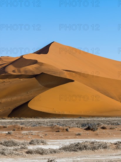 Sand dune on the edge of the Namib Desert