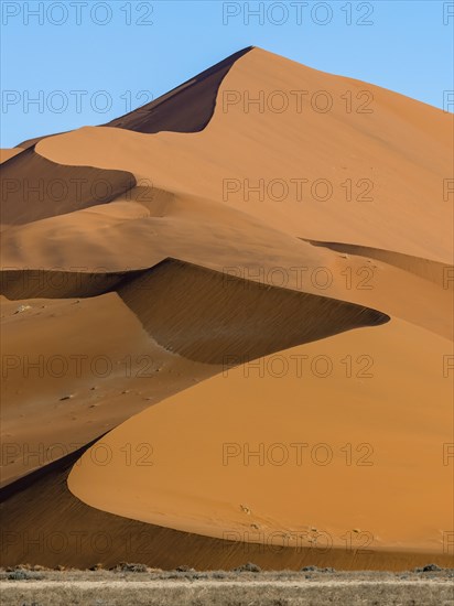 Sand dune on the edge of the Namib Desert