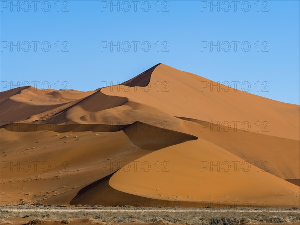 Sand dunes on the edge of the Namib Desert