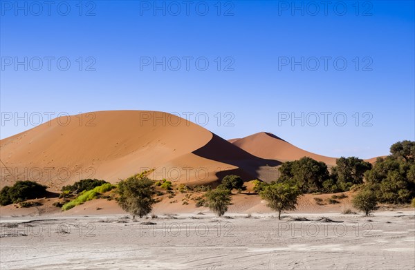 Sand dunes on the edge of the Namib Desert