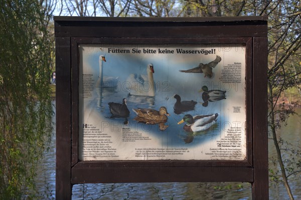 Sign on feeding ban of waterfowl