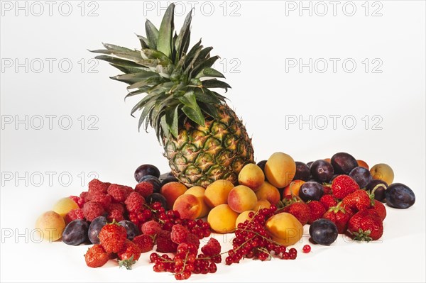 Fruit