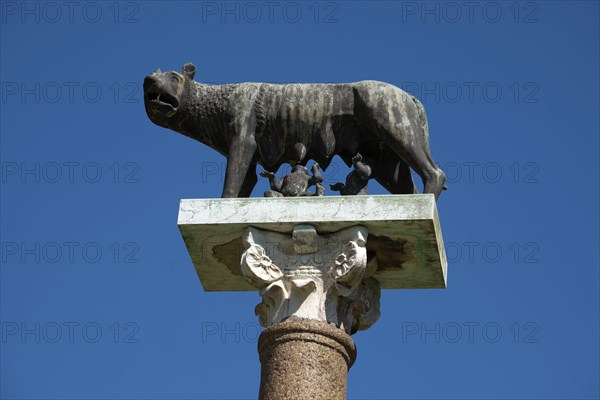 Column with sculptures of Remus