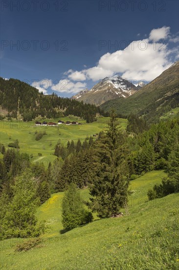 Mountain landscape with farmhouses