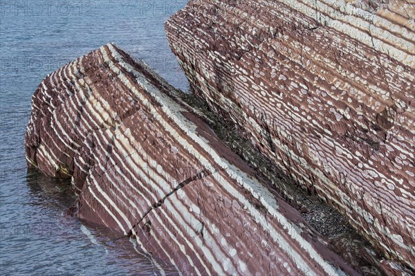 Limestone coloured red by iron and whitish-yellow dolomite