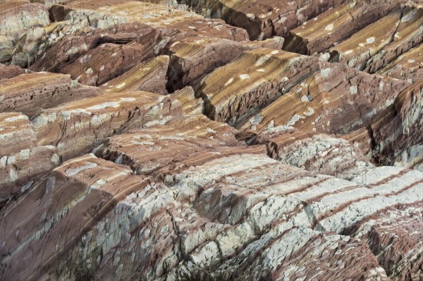 Limestone coloured red by iron and whitish-yellow dolomite