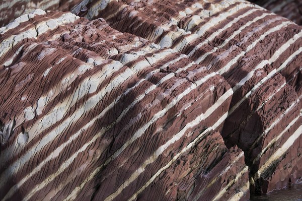 Limestone coloured red by iron and whitish-yellow dolomite