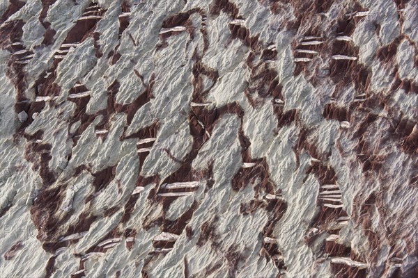 Limestone coloured red by iron and whitish-yellow dolomite