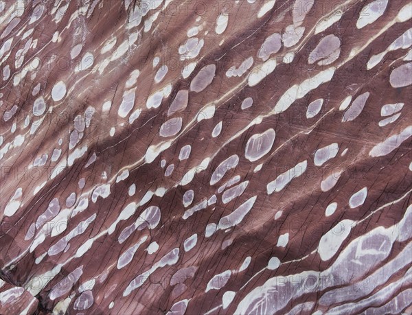Limestone coloured red by iron and whitish-yellow dolomite