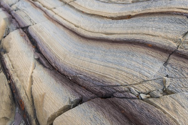 Limestone coloured red by iron and whitish-yellow dolomite