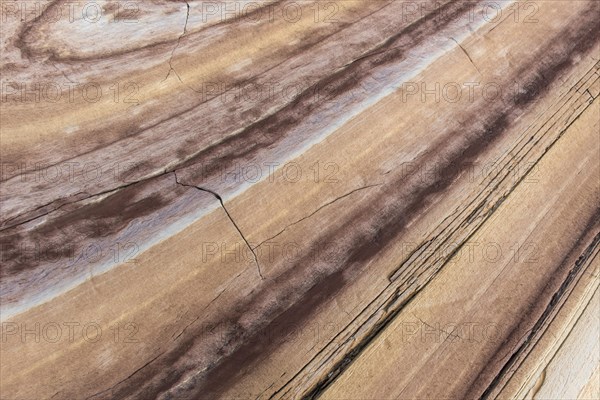 Limestone coloured red by iron and whitish-yellow dolomite