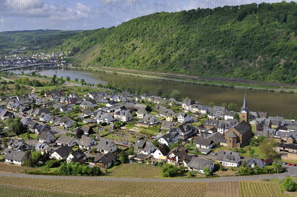 View of Alken at Mosel river