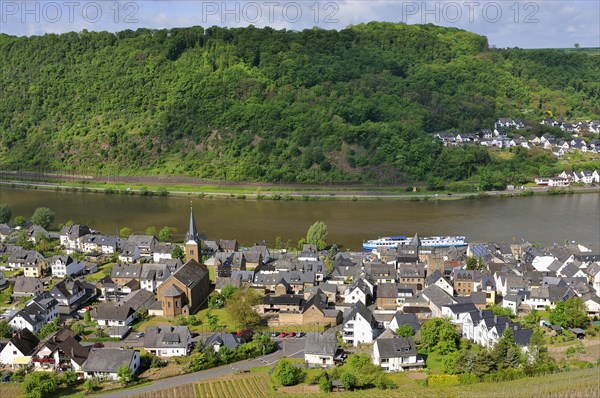 View of Alken at Mosel river