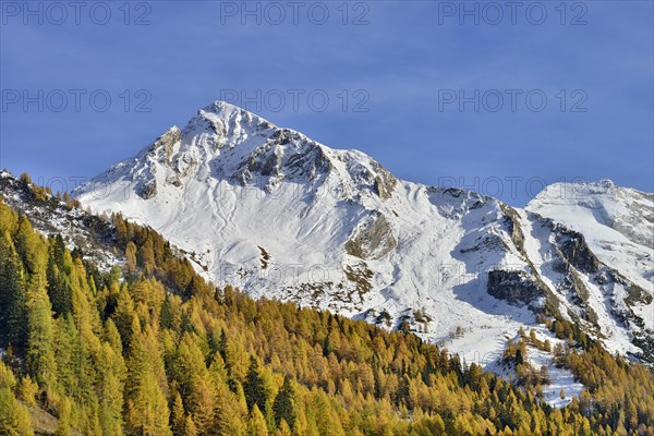 Schoberspitzen and Olperer from Toldern Ausblick