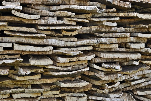 Stacked cork bark of cork oak (Quercus suber)