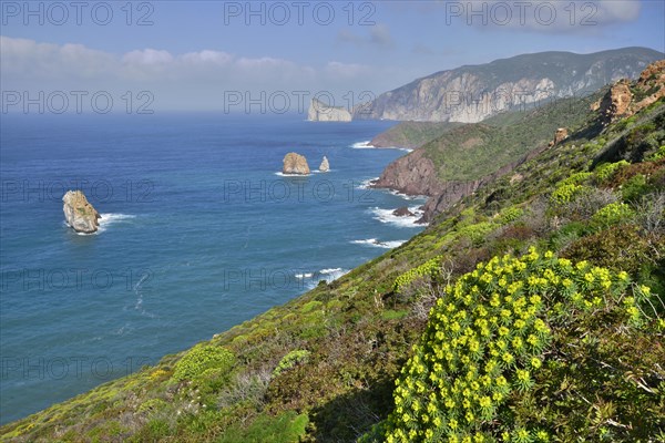 Coastline