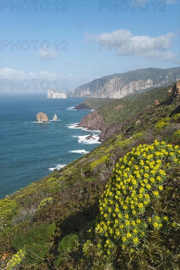 Coastline