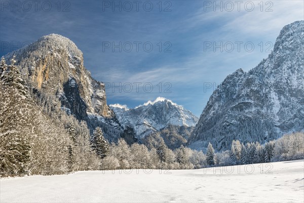 Winter landscape