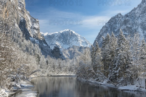 Winter landscape