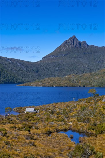 Dove Lake and Cradle Mountain
