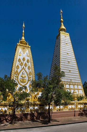 Wat Phra That Nong Bua