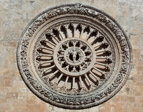 Rosette